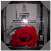  Глянцевый постер Роза на фоне Парижа 40*40 см - Арт-Декор. Продажа художественных изделий оптом и розницу