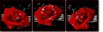 Глянцевый постер  Красные розы. Вдохновение со стразами, комплект из трех картин 40*40см - Арт-Декор. Продажа художественных изделий оптом и розницу