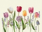 Тюльпаны моей любимой светлый фон Скатерть 140х240 см  - Арт-Декор. Продажа художественных изделий оптом и розницу