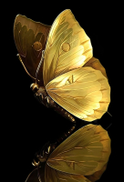 Декобокс. Золотая бабочка 40*50 см с поталью - Арт-Декор. Продажа художественных изделий оптом и розницу