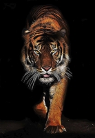 Декобокс  Тигр 60*90 см (с поталью) - Арт-Декор. Продажа художественных изделий оптом и розницу