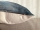 Сова Букля Наволочка 45х45 см серебряный люрекс - Арт-Декор. Продажа художественных изделий оптом и розницу