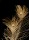 Декобокс  Павлиньи перья 2 39*50,5 см (с поталью) - Арт-Декор. Продажа художественных изделий оптом и розницу