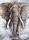 Декобокс  Слон  30,5*40,5 см (с поталью) - Арт-Декор. Продажа художественных изделий оптом и розницу
