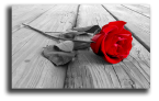Декобокс. Роза страсти 50*70 см с поталью - Арт-Декор. Продажа художественных изделий оптом и розницу