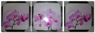 Глянцевый постер Орхидеи комплект из трех картин 40*40см - Арт-Декор. Продажа художественных изделий оптом и розницу