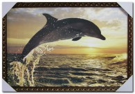 Постер 40*60см Дельфин  - Арт-Декор. Продажа художественных изделий оптом и розницу