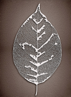 Декобокс. Серебрянный лист 1. 50*70 см с поталью - Арт-Декор. Продажа художественных изделий оптом и розницу