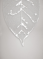 Декобокс.  Серебрянный лист 2. 50*70 см с поталью - Арт-Декор. Продажа художественных изделий оптом и розницу