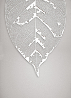  Серебряный лист 2 30*40см с поталью - Арт-Декор. Продажа художественных изделий оптом и розницу