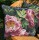 Бабочки и розы темный фон 46х46 см  - Арт-Декор. Продажа художественных изделий оптом и розницу