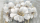 Белая рапсодия (с фактурной дорисовкой и поталью) 130*67 см - Арт-Декор. Продажа художественных изделий оптом и розницу
