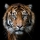 Декобокс Тигр 50*50 см (с поталью) - Арт-Декор. Продажа художественных изделий оптом и розницу